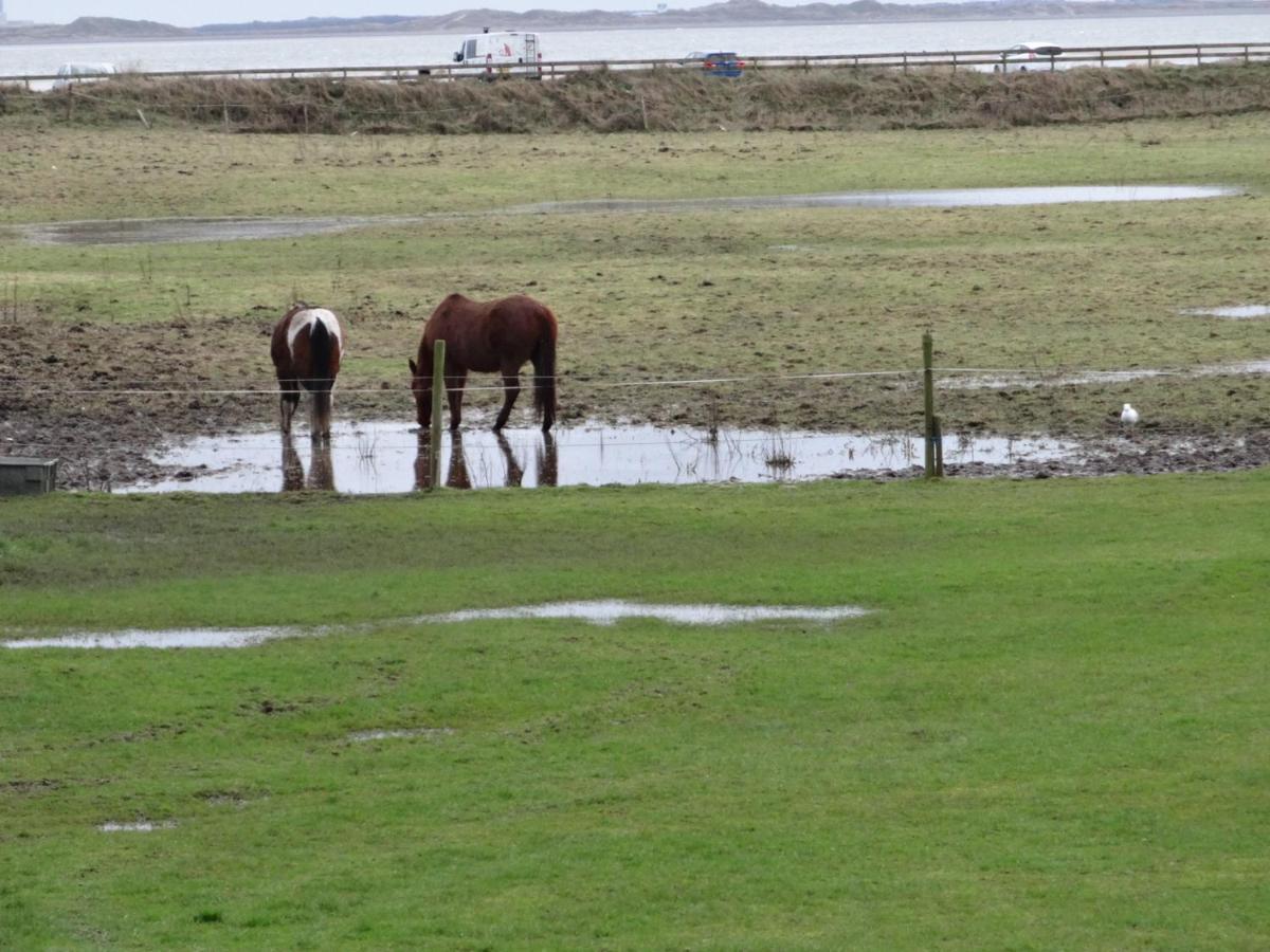 Sea View Cottage Lake District Coast Haverigg Millom Exterior foto